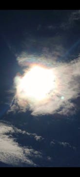 東尋坊観光遊覧船株式会社に投稿された画像（2024/9/13）