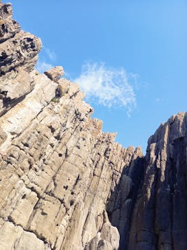 東尋坊観光遊覧船株式会社に投稿された画像（2024/9/13）