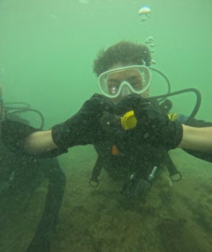 武藤潜水に投稿された画像（2024/9/13）