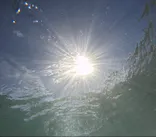 武藤潜水に投稿された画像（2024/9/13）