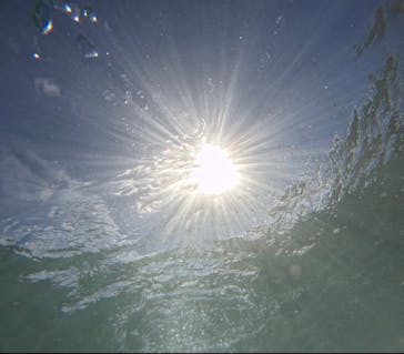 武藤潜水に投稿された画像（2024/9/13）