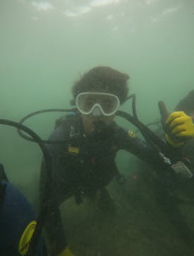 武藤潜水に投稿された画像（2024/9/13）