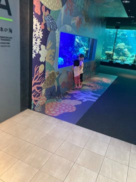 串本海中公園水族館に投稿された画像（2024/9/13）