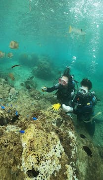 武藤潜水に投稿された画像（2024/9/13）