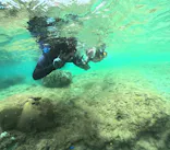 武藤潜水に投稿された画像（2024/9/13）