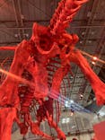巨大恐竜展2024に投稿された画像（2024/9/13）