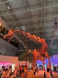 巨大恐竜展2024に投稿された画像（2024/9/13）
