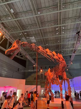 巨大恐竜展2024に投稿された画像（2024/9/13）