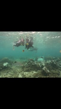 武藤潜水に投稿された画像（2024/9/13）