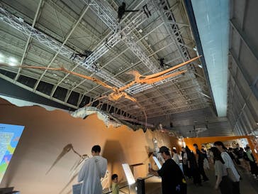 巨大恐竜展2024に投稿された画像（2024/9/13）