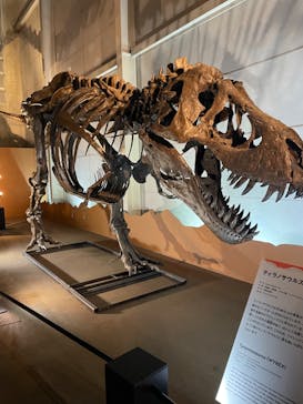 巨大恐竜展2024に投稿された画像（2024/9/13）