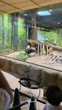 恩賜上野動物園に投稿された画像（2024/9/13）
