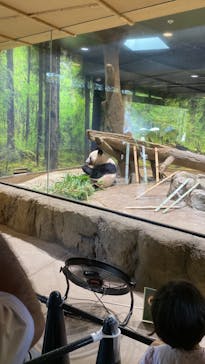 恩賜上野動物園に投稿された画像（2024/9/13）