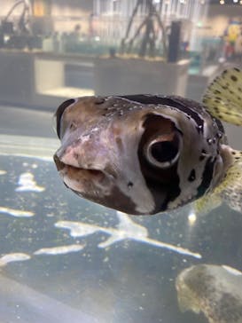 NIFREL（ニフレル）に投稿された画像（2024/9/13）