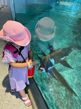 NIFREL（ニフレル）に投稿された画像（2024/9/13）