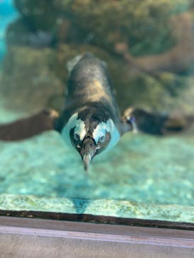 NIFREL（ニフレル）に投稿された画像（2024/9/13）