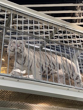 NIFREL（ニフレル）に投稿された画像（2024/9/13）