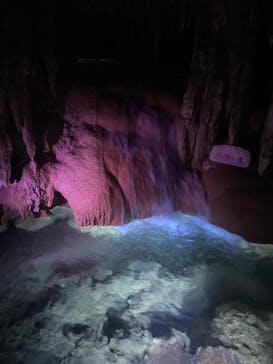 おきなわワールドに投稿された画像（2024/9/13）