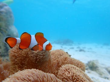 元気玉に投稿された画像（2024/9/13）