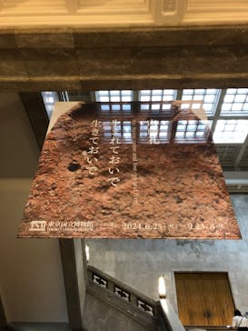 東京国立博物館に投稿された画像（2024/9/13）