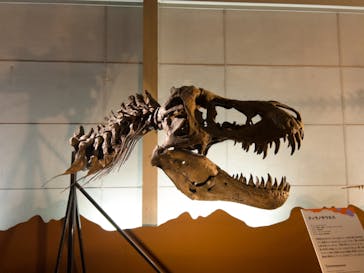 巨大恐竜展2024に投稿された画像（2024/9/13）