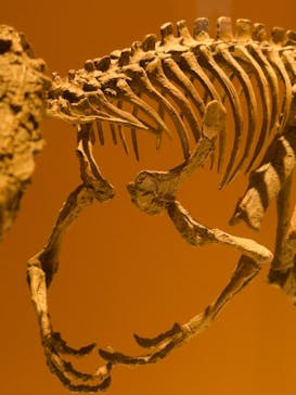 巨大恐竜展2024に投稿された画像（2024/9/13）