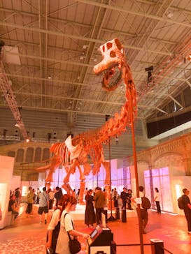 巨大恐竜展2024に投稿された画像（2024/9/13）