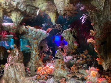 サンシャイン水族館に投稿された画像（2024/9/13）