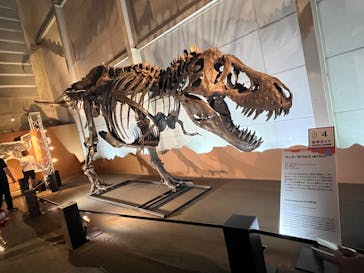 巨大恐竜展2024に投稿された画像（2024/9/13）
