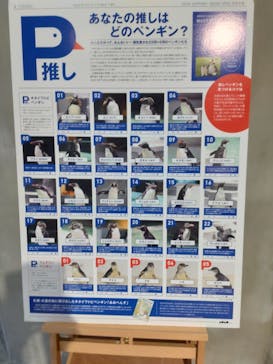 AOAO SAPPOROに投稿された画像（2024/9/13）