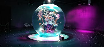 AQUARIUM × ART　atoaに投稿された画像（2024/7/17）