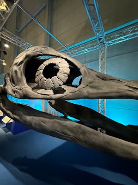 巨大恐竜展2024に投稿された画像（2024/9/13）