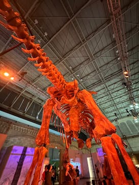 巨大恐竜展2024に投稿された画像（2024/9/13）