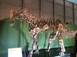 巨大恐竜展2024に投稿された画像（2024/9/13）