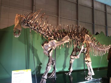 巨大恐竜展2024に投稿された画像（2024/9/13）