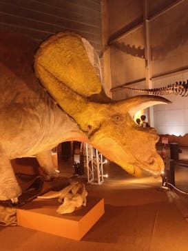 巨大恐竜展2024に投稿された画像（2024/9/13）