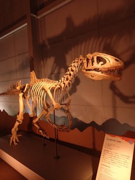 巨大恐竜展2024に投稿された画像（2024/9/13）
