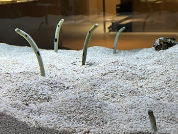 AOAO SAPPOROに投稿された画像（2024/9/13）