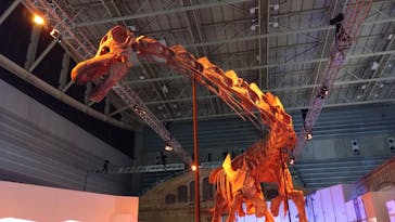 巨大恐竜展2024に投稿された画像（2024/9/13）