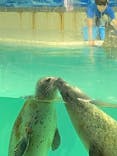 下田海中水族館に投稿された画像（2024/9/13）