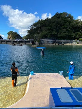 下田海中水族館に投稿された画像（2024/9/13）