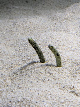 AOAO SAPPOROに投稿された画像（2024/9/13）