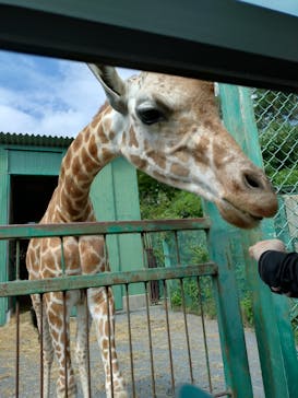 岩手サファリパークに投稿された画像（2024/9/13）
