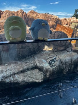 上越市立水族博物館 うみがたりに投稿された画像（2024/9/13）