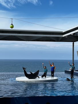 上越市立水族博物館 うみがたりに投稿された画像（2024/9/13）