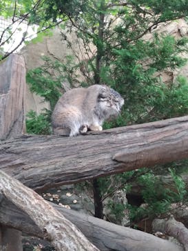 那須どうぶつ王国に投稿された画像（2024/9/13）