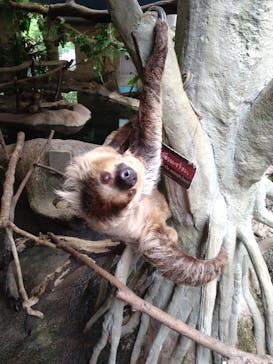 那須どうぶつ王国に投稿された画像（2024/9/13）