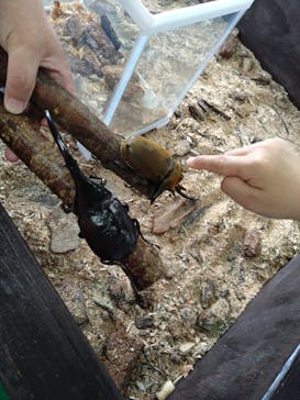 那須どうぶつ王国に投稿された画像（2024/9/13）