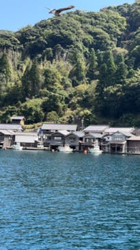 伊根湾めぐり遊覧船に投稿された画像（2024/9/13）