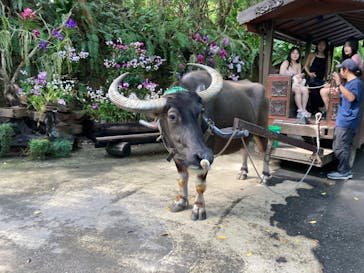 ビオスの丘に投稿された画像（2024/9/13）